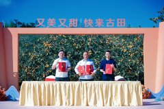 逐渐建立起集出产、加工、发卖取推广于